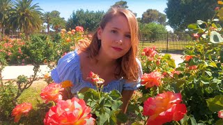Rose Garden At Reid Park In Tucson, Arizona