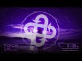 【EDM】Voice【VOCALOID】