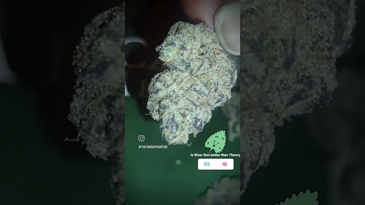 which strain do you like better???