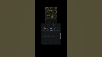 Color grading tutorial App VN editor #vneditor #shorts #videoediting