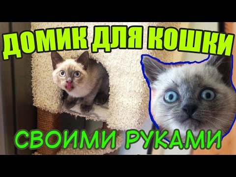 😻 Как сделать своими руками домик для кошки за 15 минут: лучшие мастер-классы с инструкциями