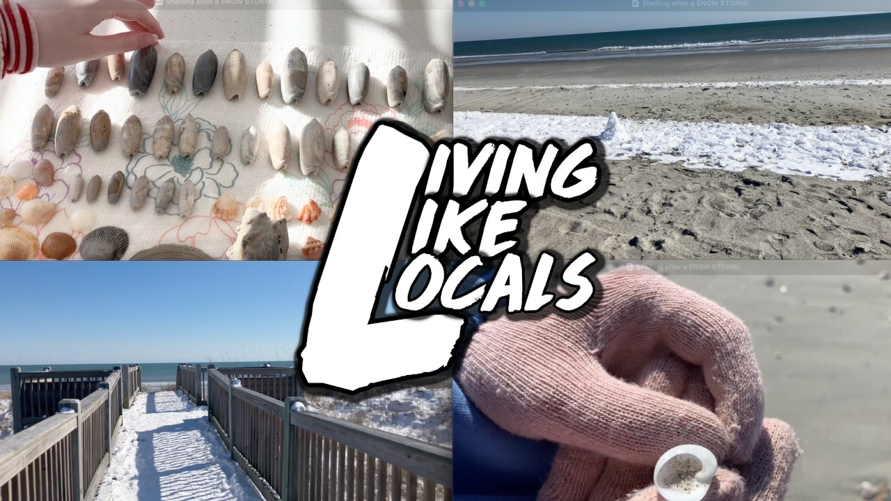 Обстрел после снежной бури!