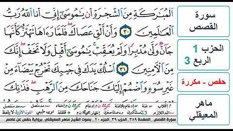 سورة القصص - الحزب 1 - الربع 3- حفص - ماهر المعيقلي - مكررة