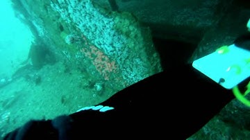 Diving the Ruby E 2013