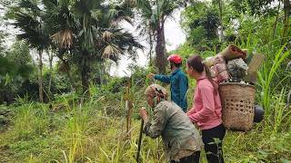 Details FULL VIDEO: A Young Woman and Her Grandma's Journey to Overcome Difficulty and Build a Bamboo House News