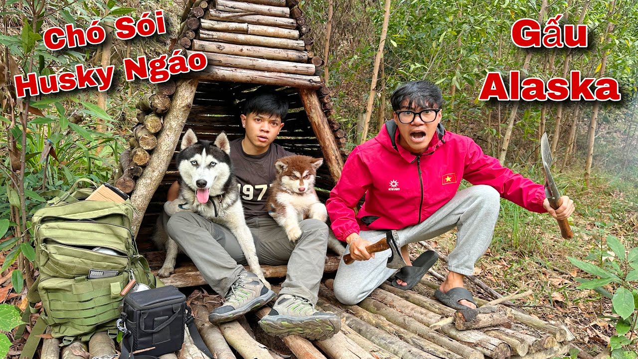 Sinh Tồn Cùng Ngáo Husky Và Gấu Alaska Trong Rừng Phần 2 | Quá Đẳng Cấp | Dương KC