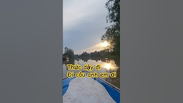 Vược sông câu cá cồn ấu