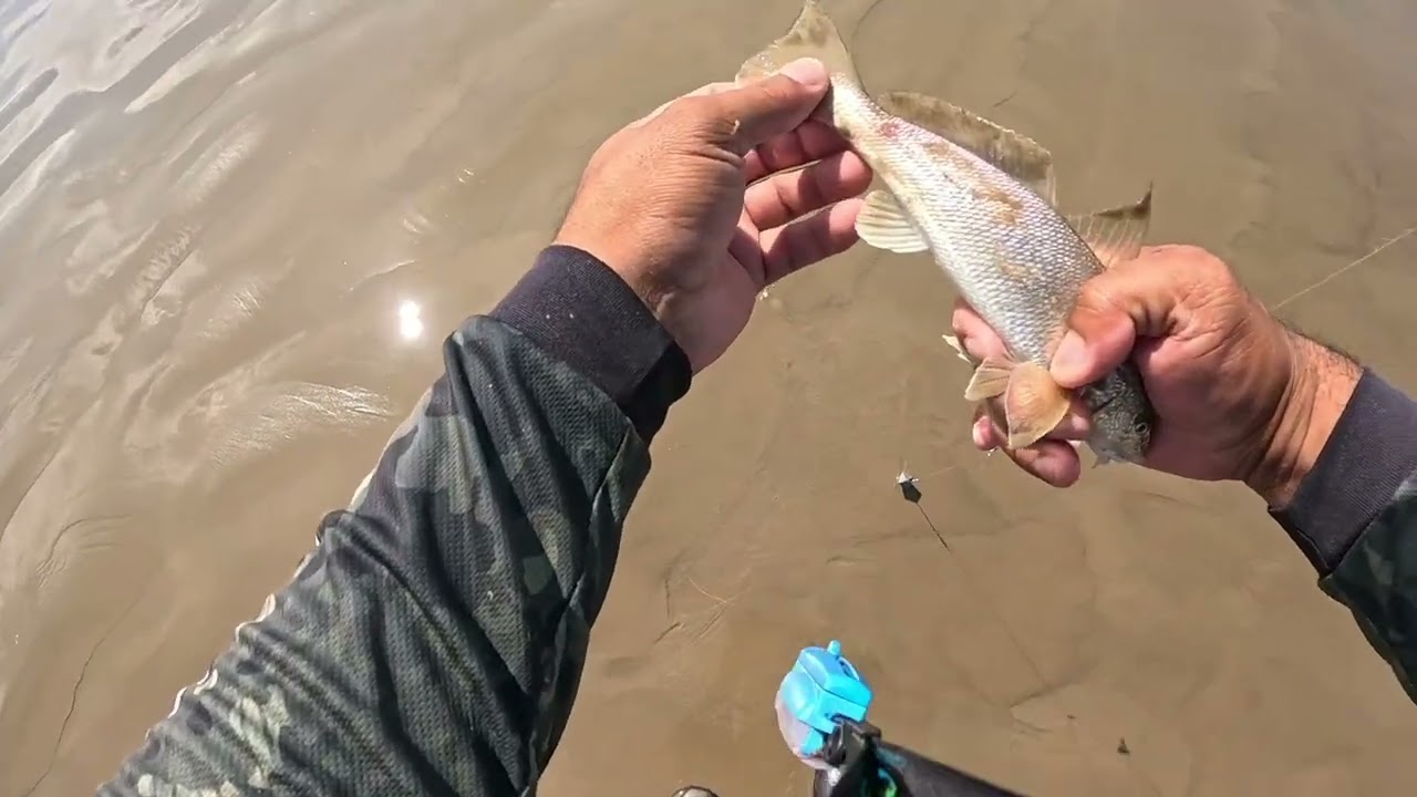 16 de fevereiro de 2026