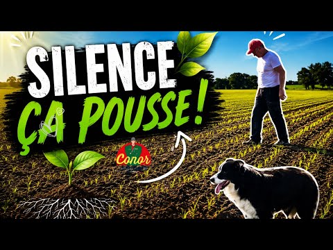 Silence ça pousse !