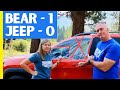 RV Tow Car Window Busted by a Bear (HOW TO PROTECT YOUR CAR)