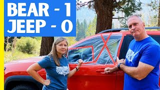 RV Tow Car Window Busted by a Bear (HOW TO PROTECT YOUR CAR)