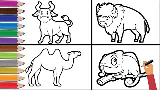 how to draw animal - draw bull - draw bison - draw camel - draw chameleon - drawing animal