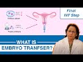 Embryo transfer in ivf  || Embryo Transfer IVF Precautions - IVF Care