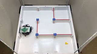 ECE4960-Team 4-Spring2022 'Maze Solving Robo Rat'