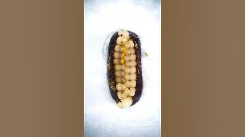 cockroach Ootheca | Emergence of Nymph Cockroach From Egg Case | Cockroach | Ootheca | Insects