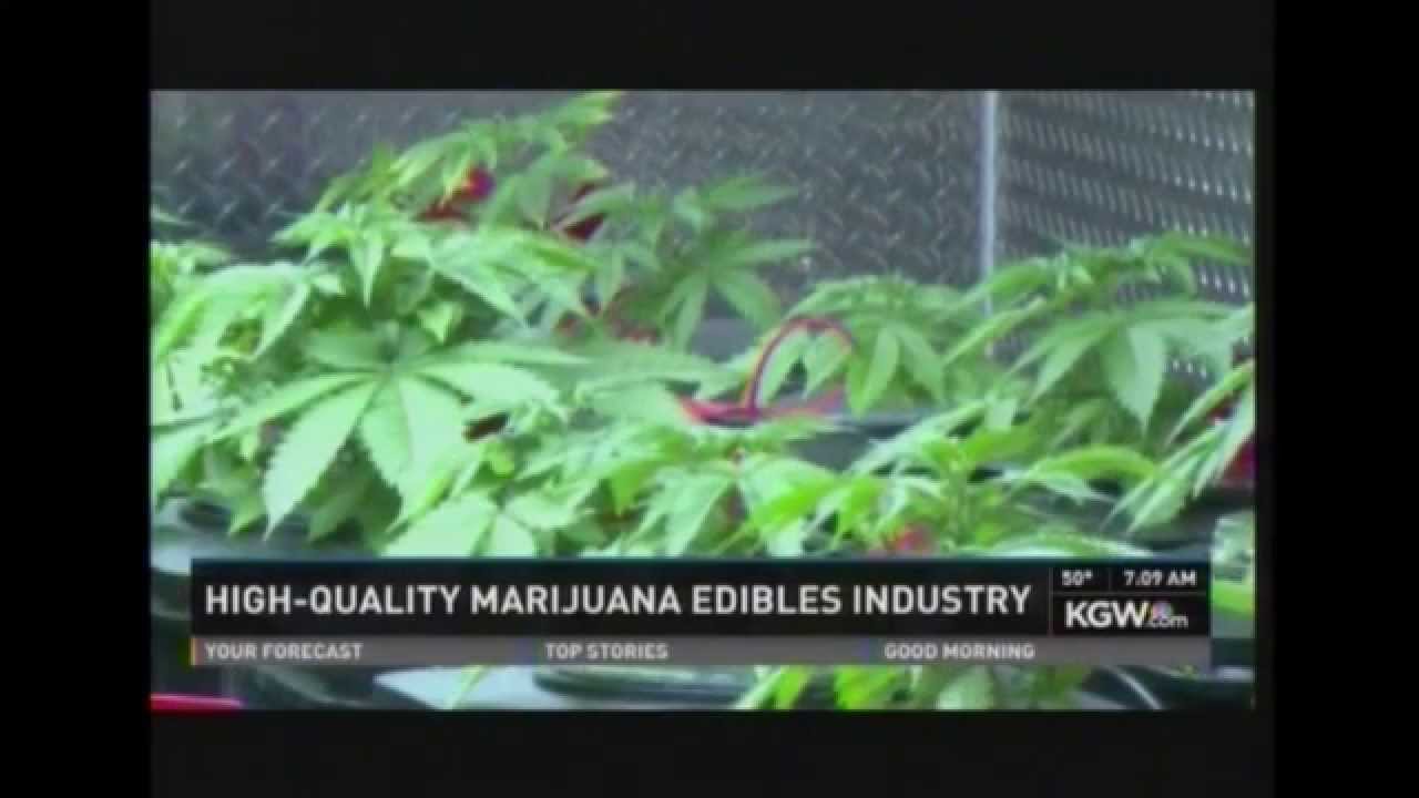 Washington: High Quality Cannabis Medibles Industry