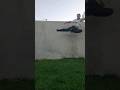 Voadora: Conquiste o Kick de Alta Performance! 🥋