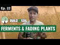 Buildasoil midweek seven of flower update  10x10 gorilla grow documentary season 6 episode 22