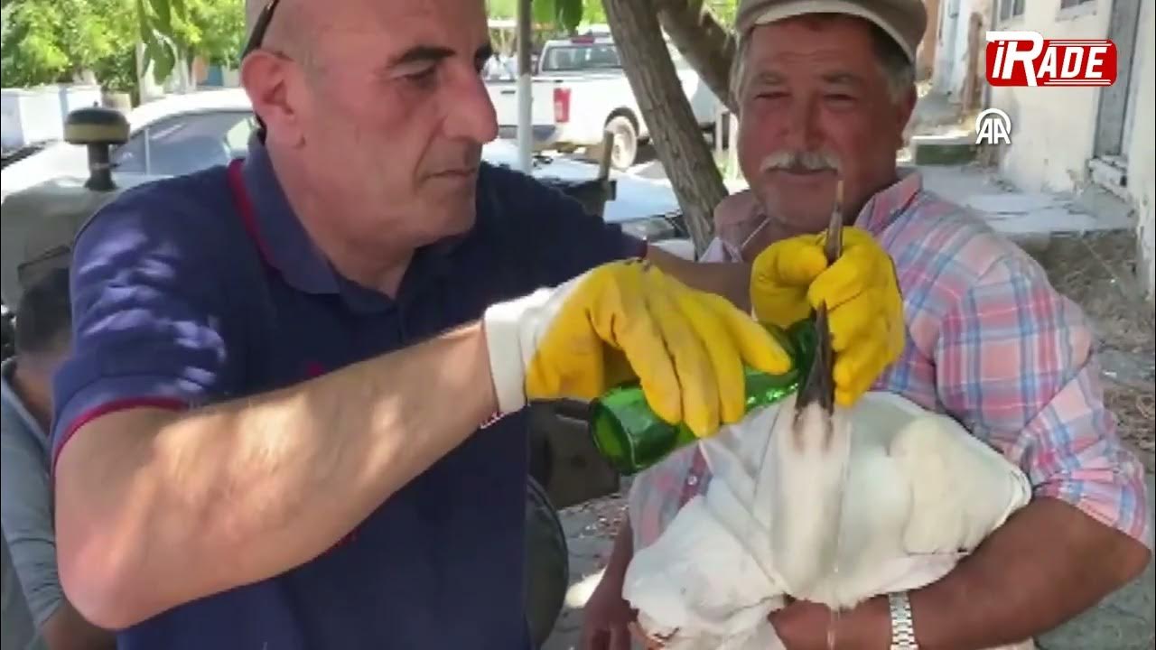 Leyleklerin Yardımına Ekipler Koştu