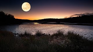 Carl Doy - Moonlight Piano