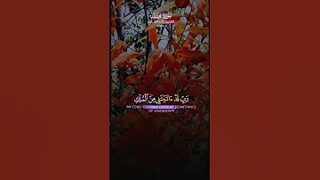 سوره يوسف #quran #duet #quranreaction #trending #islam #islamic #islamicvideo
