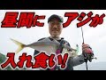 【デイアジング】アジングマルチタックル戦術〈ショートロッド+ジグ単編〉家邊克己