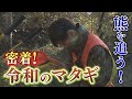 熊を追う!令和のマタギに密着