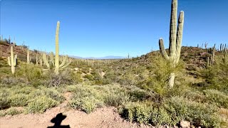 Hiking In Sweetwater Preserve (Saguaro View Trail), May 2024, Tucson
