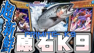 【遊戯王マスターデュエル】 サーモンがガチで強い 『原石K9』 【ゆっくり解説】