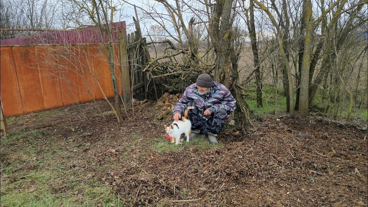 Убрали то, что не успели осенью.Костры.Буся куда-то зовёт. Жизнь на пенсии. 