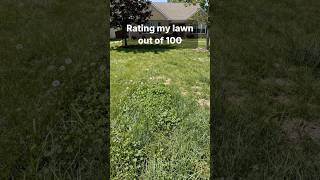Same yard, dialed in. Could your lawn score higher? #shorts #lawncare #lawngoals