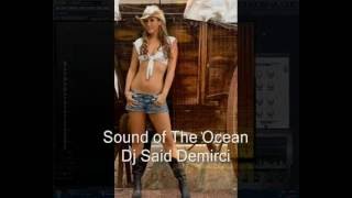 Said Demirci - sound of the ocean (electro dance) flp