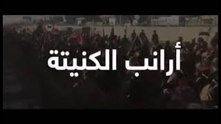 أرانب الكنيته.. اهداء خاص.. لاشاوس هيئة العمليات - السودانية