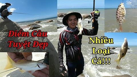 Phát Hiện Điểm Câu Tuyệt Đẹp Ở Hồ Cốc BR-VT l Dính Nhiều Loài Cá Đẹp l Nghiệp Vũng Tàu Vlog #65