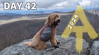 Snow is coming! ❄️🥶 - Day 42 - Appalachian Trail