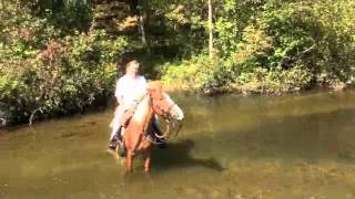 Horse Ride White River 20110917