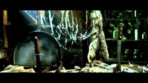 SlipKnoT - Left Behind (Director