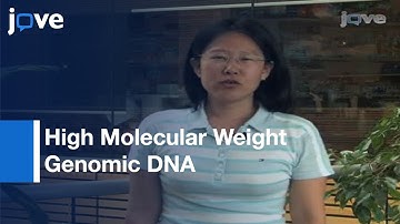 Extraction: High Molecular Weight Genomic DNA From Soils & Sediments l Protocol Preview