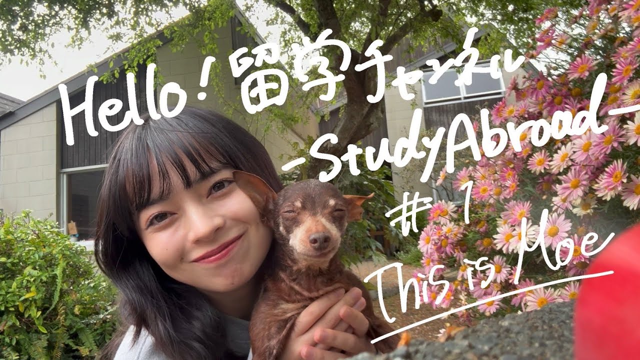 【Moe】This is Moe🌼I'm in NewZealand🇳🇿 #1