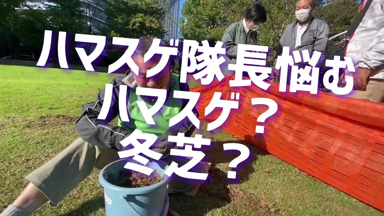 12月初旬の 芝生の手入れ 来年に活かせる芝生づくりの豆知識集 東京40まいる 家庭芝生の雑学