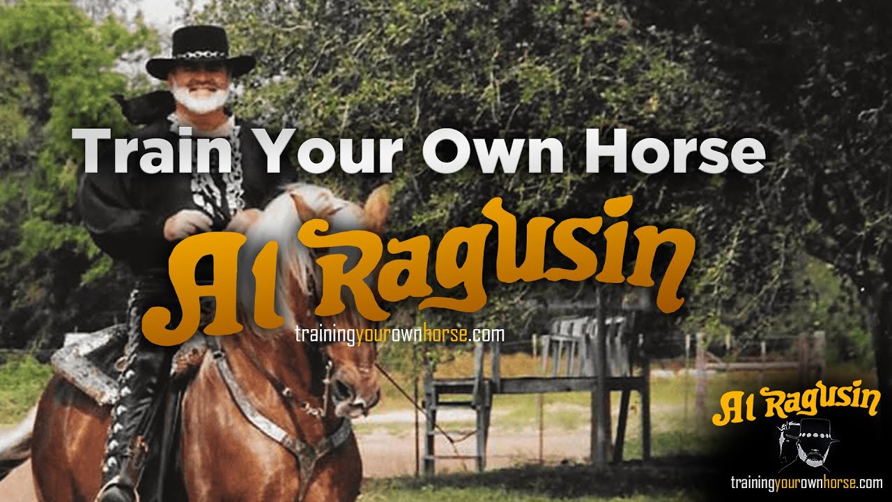 Al ragusin - Training your own horse (Ad) - YouTube