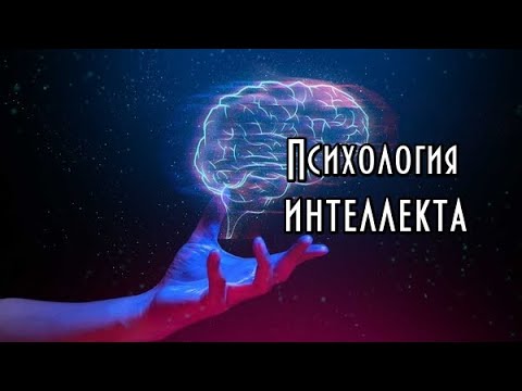 Психология интеллекта. Курс. Часть I