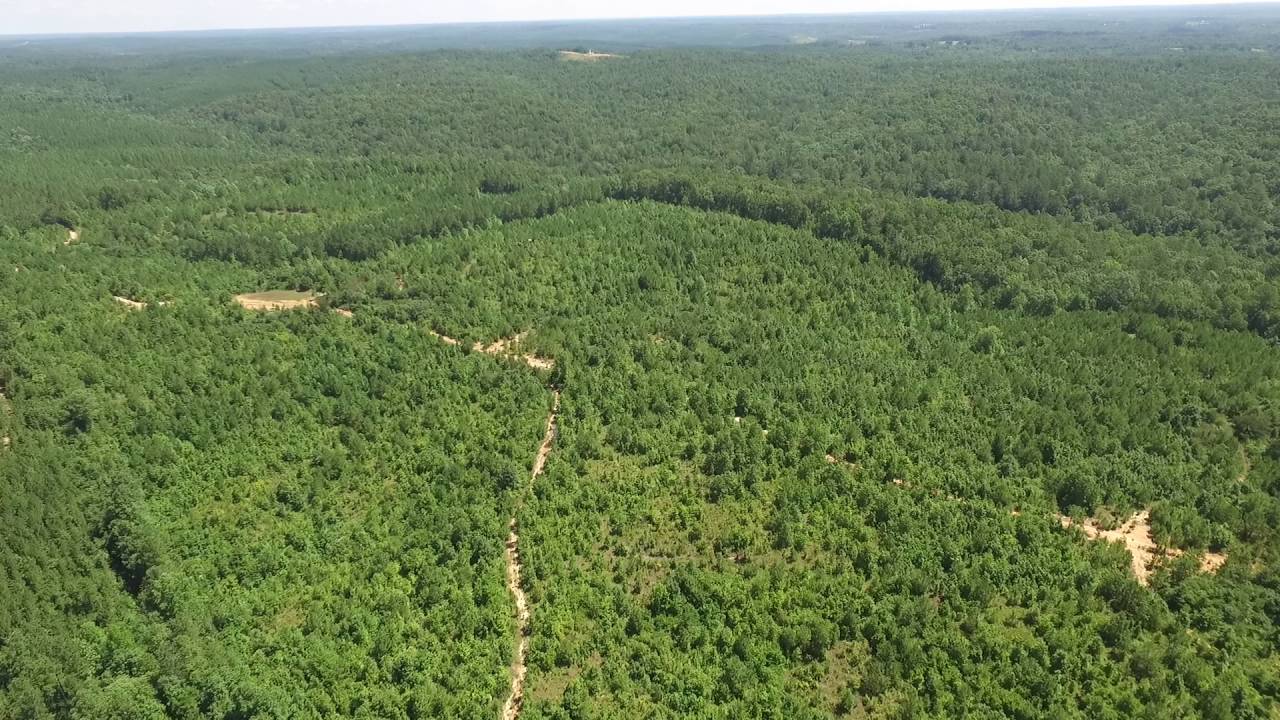 Marion County, AL +/ 163 Acres YouTube