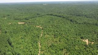 Marion County, AL +/- 163 Acres