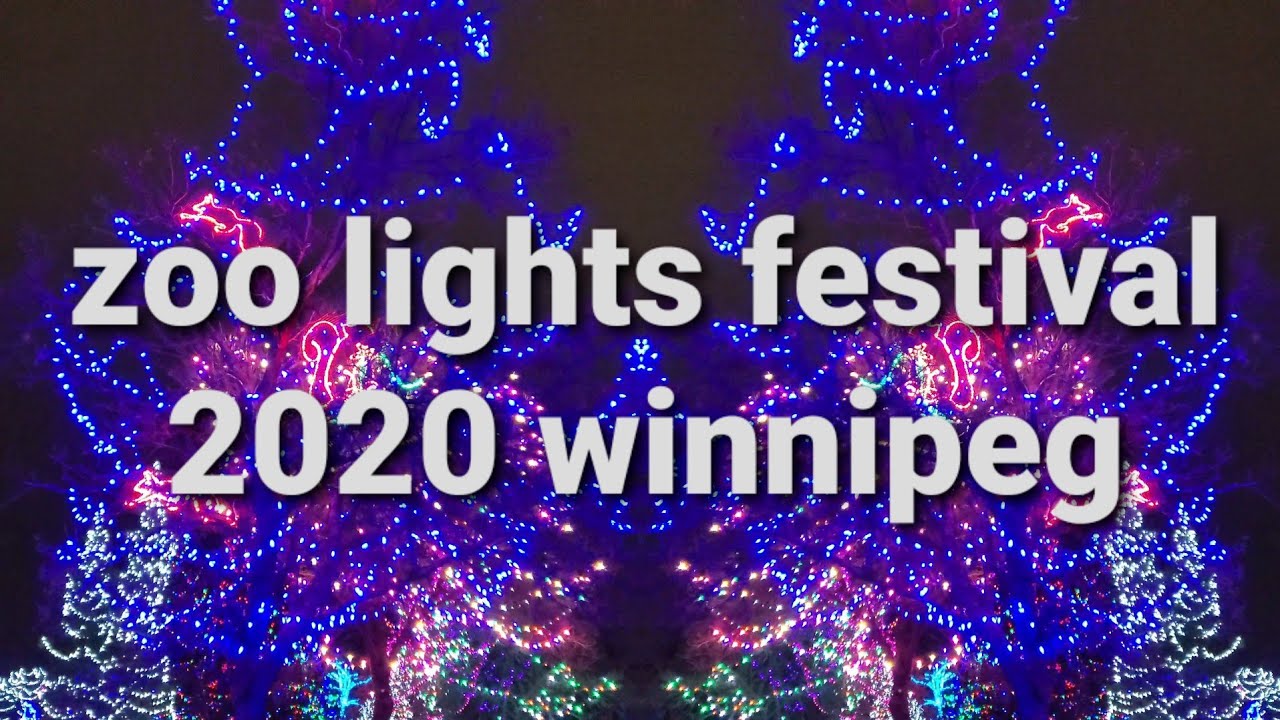 Zoo Lights Festival 2020 (4k)