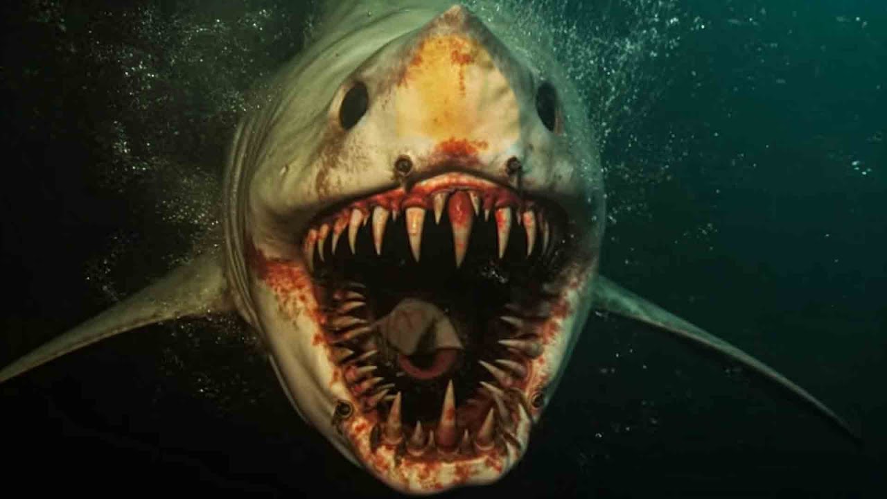 If You're Afraid Of The Sea Don't Watch This Video!