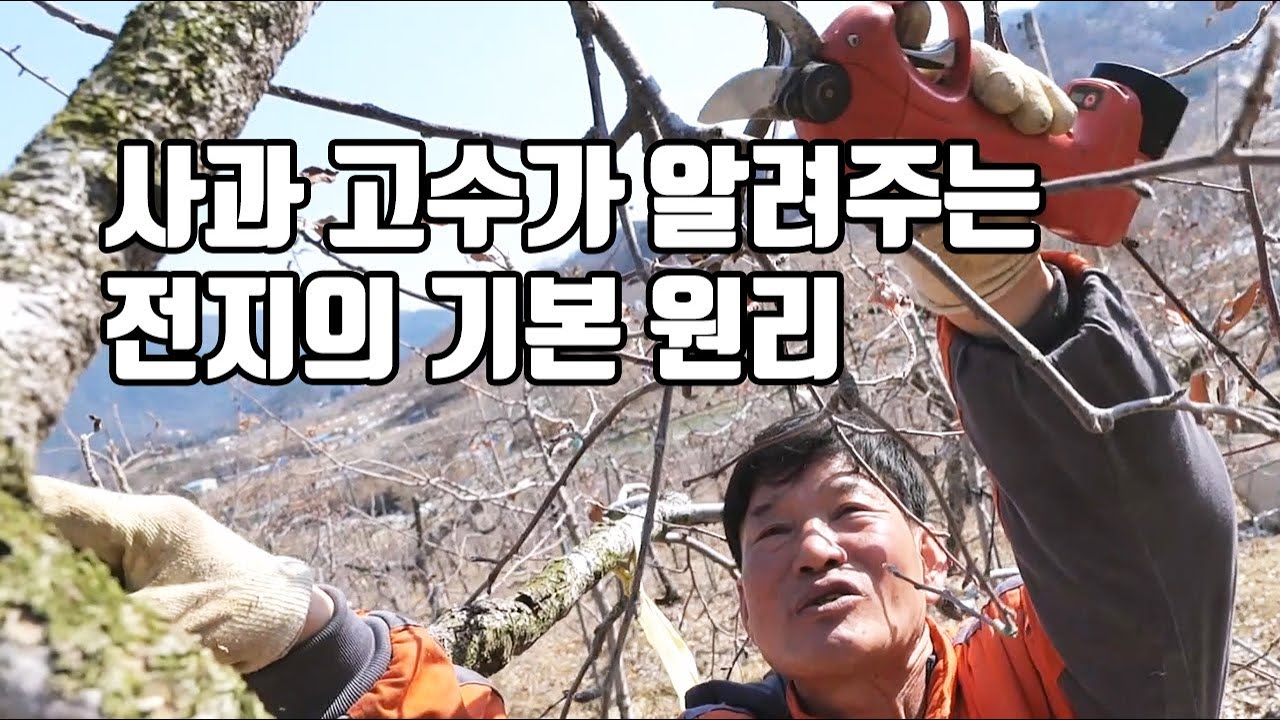 사과 고수가 알려주는 전지의 기본 원리