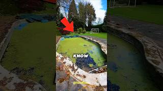 Your Green Pool Isnt Ruined Heres The Fix