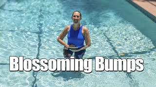 Blossoming Bumps Aquanatal Class