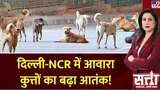 Satta: Delhi-NCR में हर दिन 1000 से अधिक लोगों को काट रहे हैं कुत्ते, ज्यादातर बच्चों पर हमला